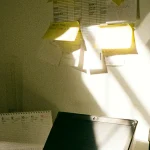 Conta gov.br: cuidados para acessar serviços digitais com segurança