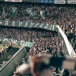 Flamengo ao vivo no celular: guia para confirmar app e horário